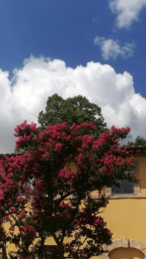 San Martinello Vila Perúgia Exterior foto